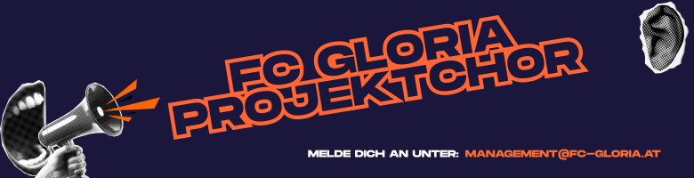 Webseite Banner Eine Grafik: "Feminist Perspective" als Titel der zweitägigen Veranstaltung. Rosa Hintergrund und gelbe Schrift. 20. und 21. November.